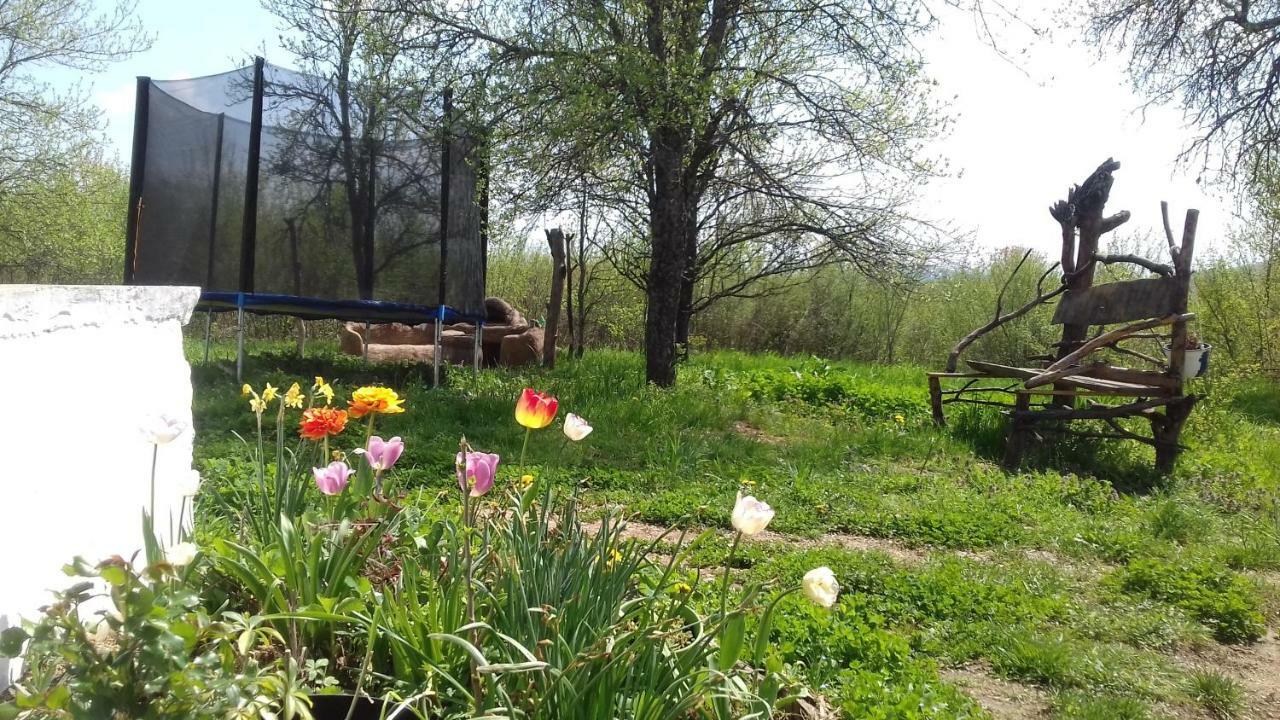 Sleepy Paradise Plitvice Rakovica Εξωτερικό φωτογραφία